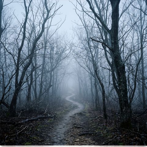Un chemin qui s’efface dans la brume